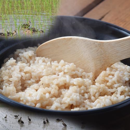 [定期便][定期便]完全無化学肥料 あいがも農法 伊賀とよさ米[玄米]10kgx年6回