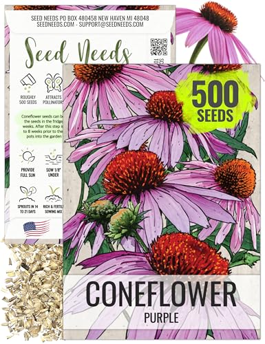 Seed Needs Coneflower Seeds for Planting Purple...