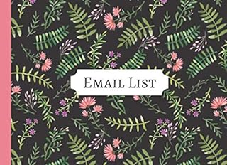 EMAIL LIST | Guest Book With Space For Collecting Email Addresses, Name And Comments, Email Log Book: BUSINESS MAILING LIS...