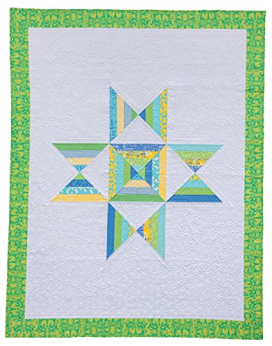 Urban and Amish: Classic Quilts and Modern Updates