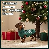 Hjyokuso Dackel Pullover M, Süßer Hundepullover mit Dackelmuster, Rollkragen Strickpullover für kleine Hunde, Weicher Winter Hundemantel, Weihnachten & Geburtstag Grün