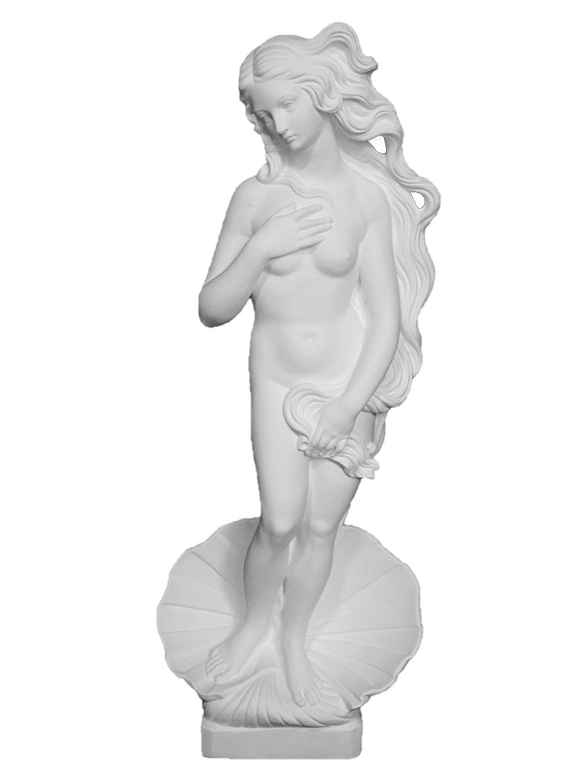 Amazon.co.jp: 石膏像 N－051 ヴィーナス誕生 H．85cm : Home