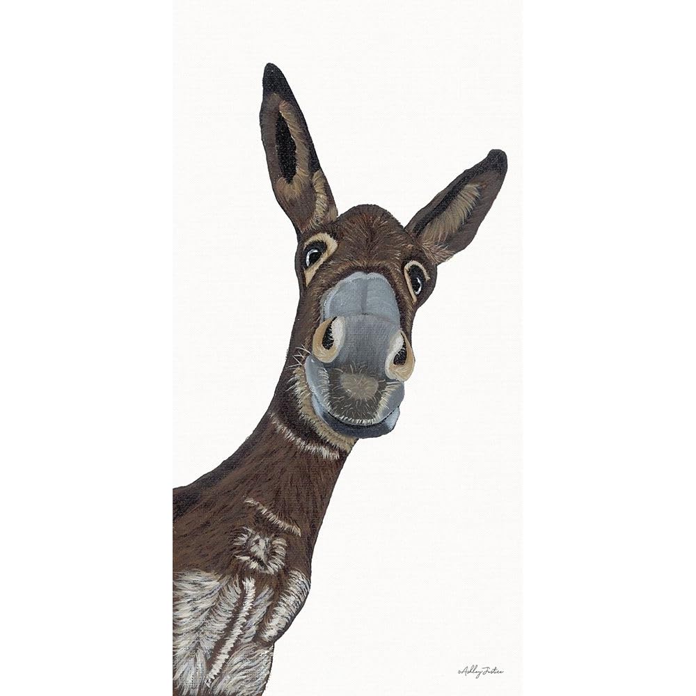 Amazon.com: ArtDirect Hey There Donkey 22x40 Large Gallery Wrapped
