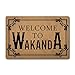 ZQH Entrance Door Mat Welcome to Wakanda Doormat Black Panther Rugs Monogram Door Mats (23.6 X 15.7 in) Non-Woven Fabric Top with a Anti-Slip Rubber Back Door Rugs Washable Doormat