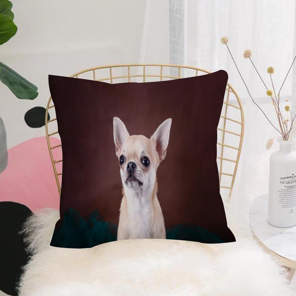 HYOSXW Cushion Cover,Throw Pillow Case Home Decorative for Living Room Bedroom Sofa Chair 16X16 Inch,Chihuahua Animals Dogs Friendly Puppy Small Wildlife Dog Cute Animal,Pillowcase 40X40cm
