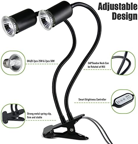 Reptile Heat Lamp — lifestyle photo