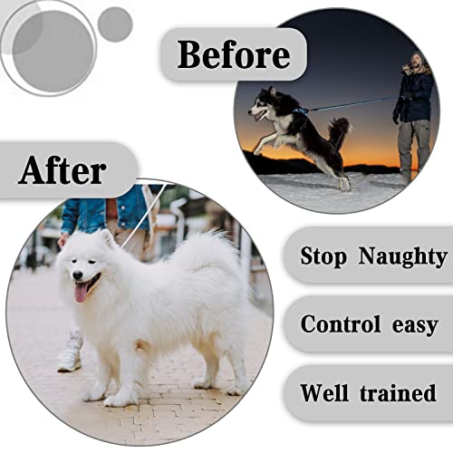 Dabilongc Dog Collar, Adjustable Dog Collar For Small Medium Large Dogs,S #TOP5