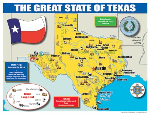 Cartes d'État du Texas pour étudiants Gallopade 30 pièces pour projets éducatifs thématiques