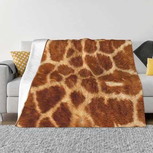 L GARuPbg 􂦂ӂӂRۖыʖh~ lGʗpN[[P[vp 150×200cm