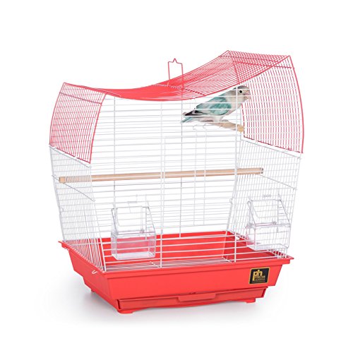 Image of Prevue Pet Products South Beach Wave Top Bird Cage, Lime Green (SP50081)