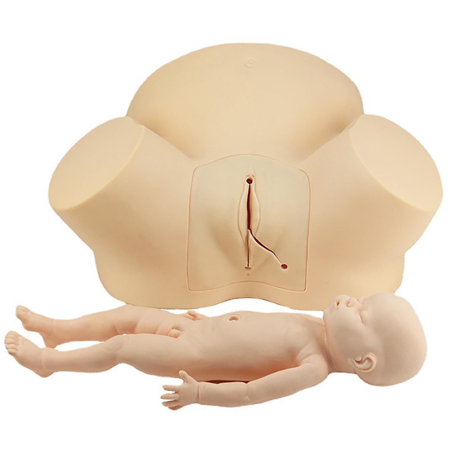 Simulador de Entrenamiento Modelo de Parto, Maniquí de Parto Femenino de Demostración, Modelo de Entrenamiento de Partería Multifunción Maniquí de Maternidad para Parto de Obstetricia y Ginecología