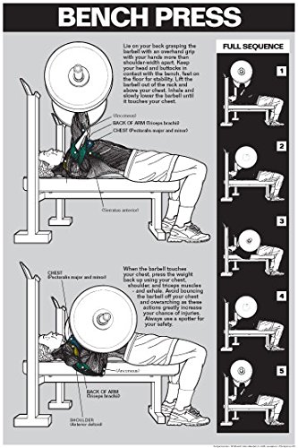 ALGRA Bench Press Laminated Chart (Lt Grey/Black, 18