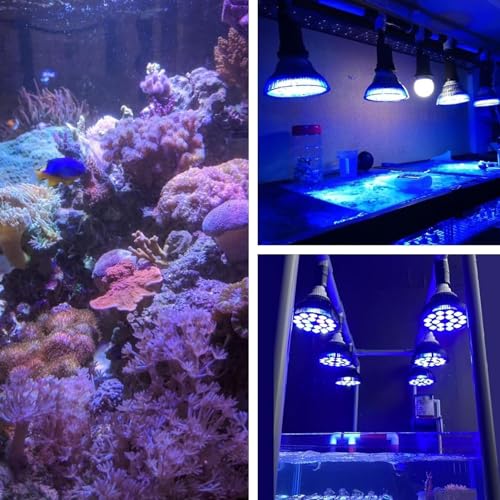 LED Aquarium Lights Bulb, 18W Saltwater Fish Tank Light Full Spectrum Aquatic Plants Grow Lamp Refugium Light - Image 2