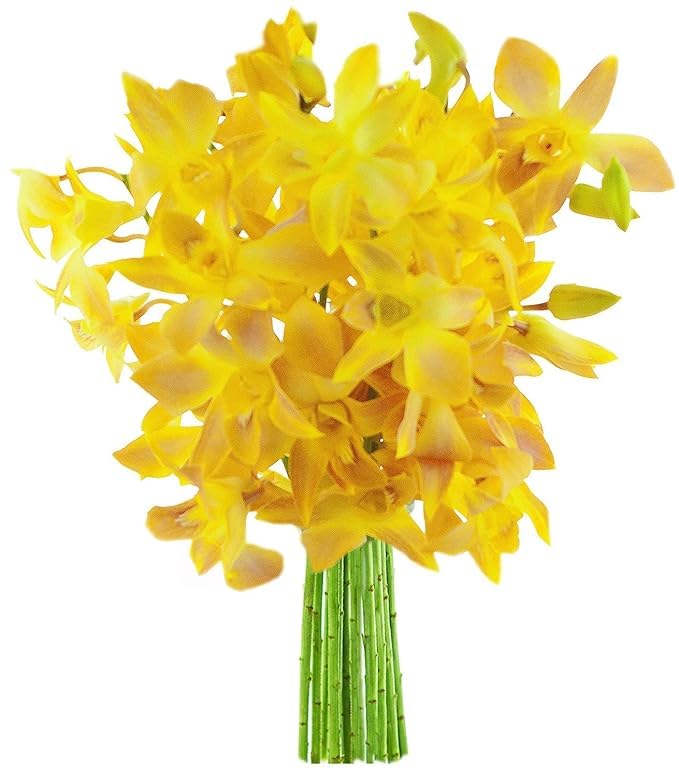 KaBloom PRIME NEXT DAY DELIVERY Valentine's Day