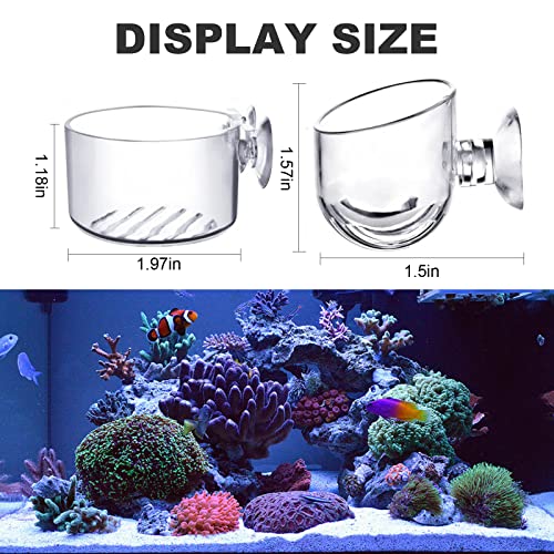 Image of MDEOOSKY 16 Pack Aquatic Plant Cups, Acrylic Aquarium Plant Cup, Transparent Acrylic Aquatic Pot with Suction, Acrylic Aquarium Suction Cup Holder, Aquarium Decoration 2 Shapes