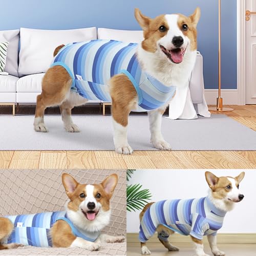 Image of Dog Recovery Suit for Dogs After Surgery,Dog Onesie for Surgery Male and Female,Abdominal Wounds Post Surgical Recovery, Prevent Licking Surgical Wound,Substitute E-Collar & Cone,M
