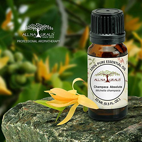 Image of All Naturals Champa Absolute Essential Oil (Kerala) 100% Pure, Deep Floral Exotic Aroma for Natural Perfumes, Massage Oils, Attars, DIY Skincare & Diffusers - 10 mL | n-Hexane Extracted, Alcohol-free