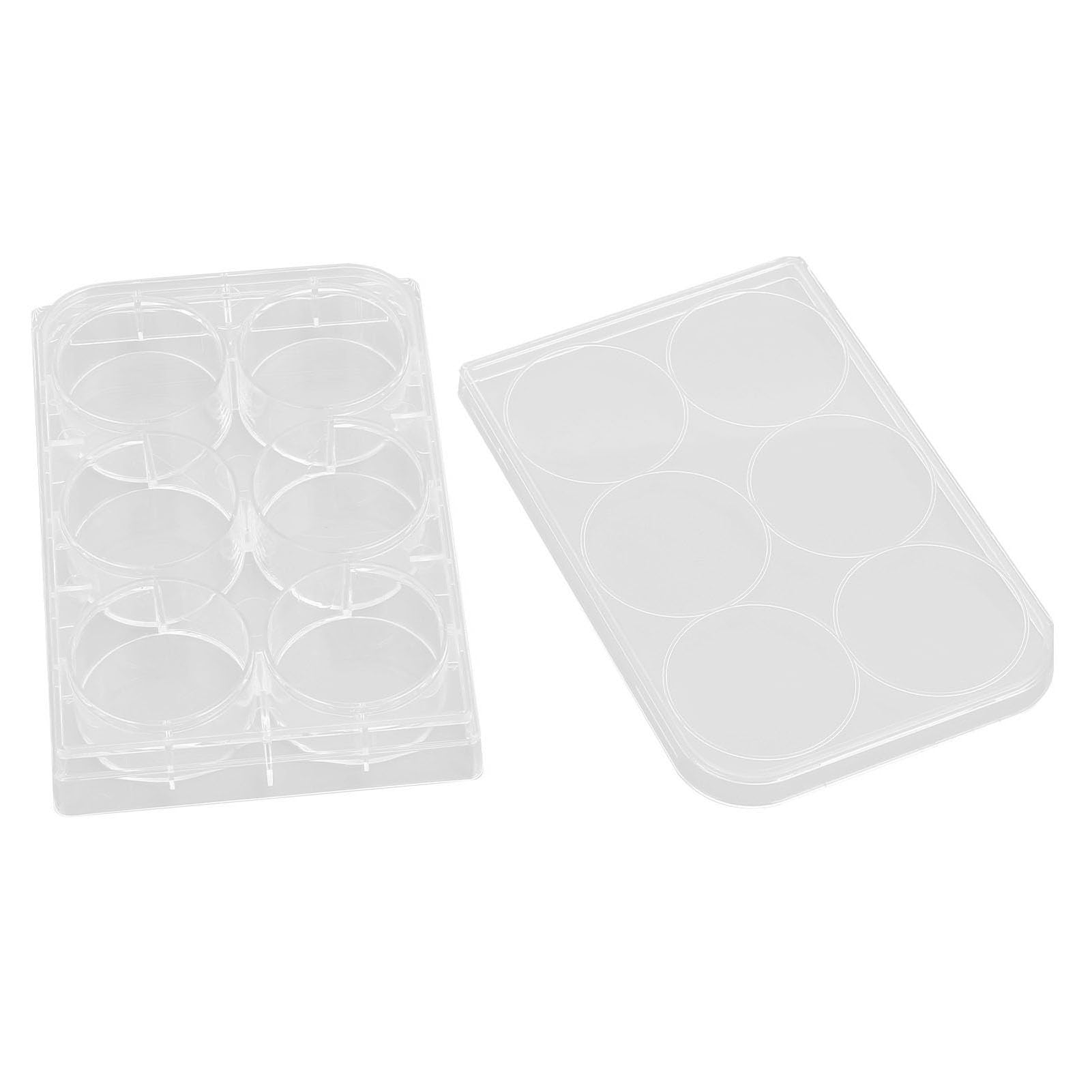 Yctze 10pcs Plaques de Culture Tissulaire Hautement Transparentes avec Fond Plat et Couvercle pour Une Utilisation - Orm épais pour la Cellule Due et Expérimentale (6 Trous)