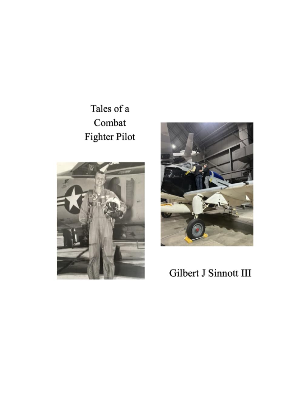Tales of a Combat Fighter Pilot