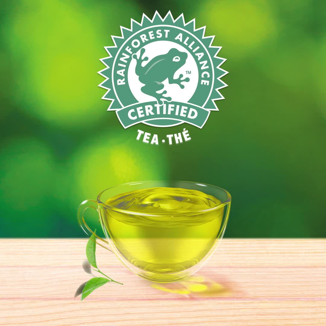 Lipton Yellow Label Classic Pure Green Tea - 100 Count (Pack of 1