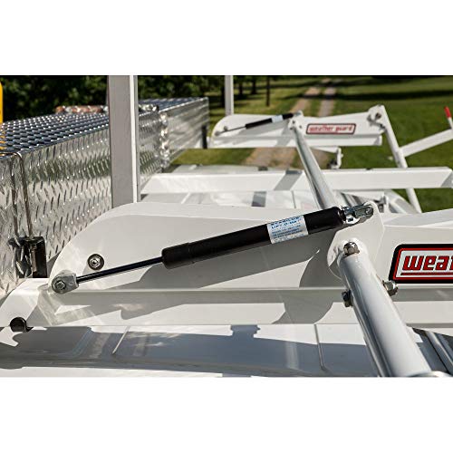 Top 10 Best Ladder Rack Tie Downs Reviews & Buying Guide Katynel