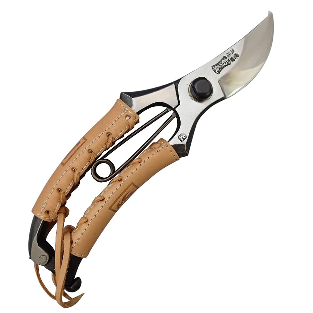 グリップウォーク対応HEAD Sape V2 156㎝ 送料無料 グリップウォーク対応HEAD Sape V2 156㎝ 送料無料 グリップ