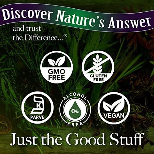 Nature's Answer Turmeric Liquid 16 Ounce | 3500 Mg | Supports Inflammatory Response | Joint Support Relief | Gluten Free | Non Gmo #TOP2