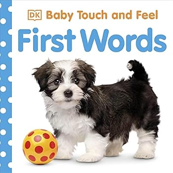 Board book First Words (Baby Touch and Feel) [Board book] [Jan 01, 2012] Dk Au Book