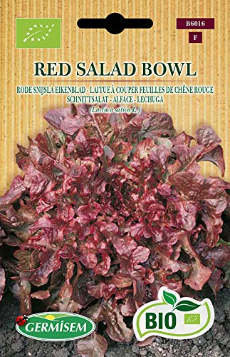 Germisem Schnittsalat RED SALAD BOWL