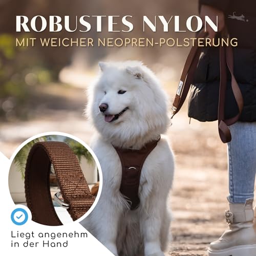 FREUDENTIER Hundeleine 2m – Verstellbare Führleine - Weich gepolstert, liegt angenehm in der Hand - Robuste Leine Hund für mittelgroße & große Hunde - Model Clyde (Braun, 25mm)