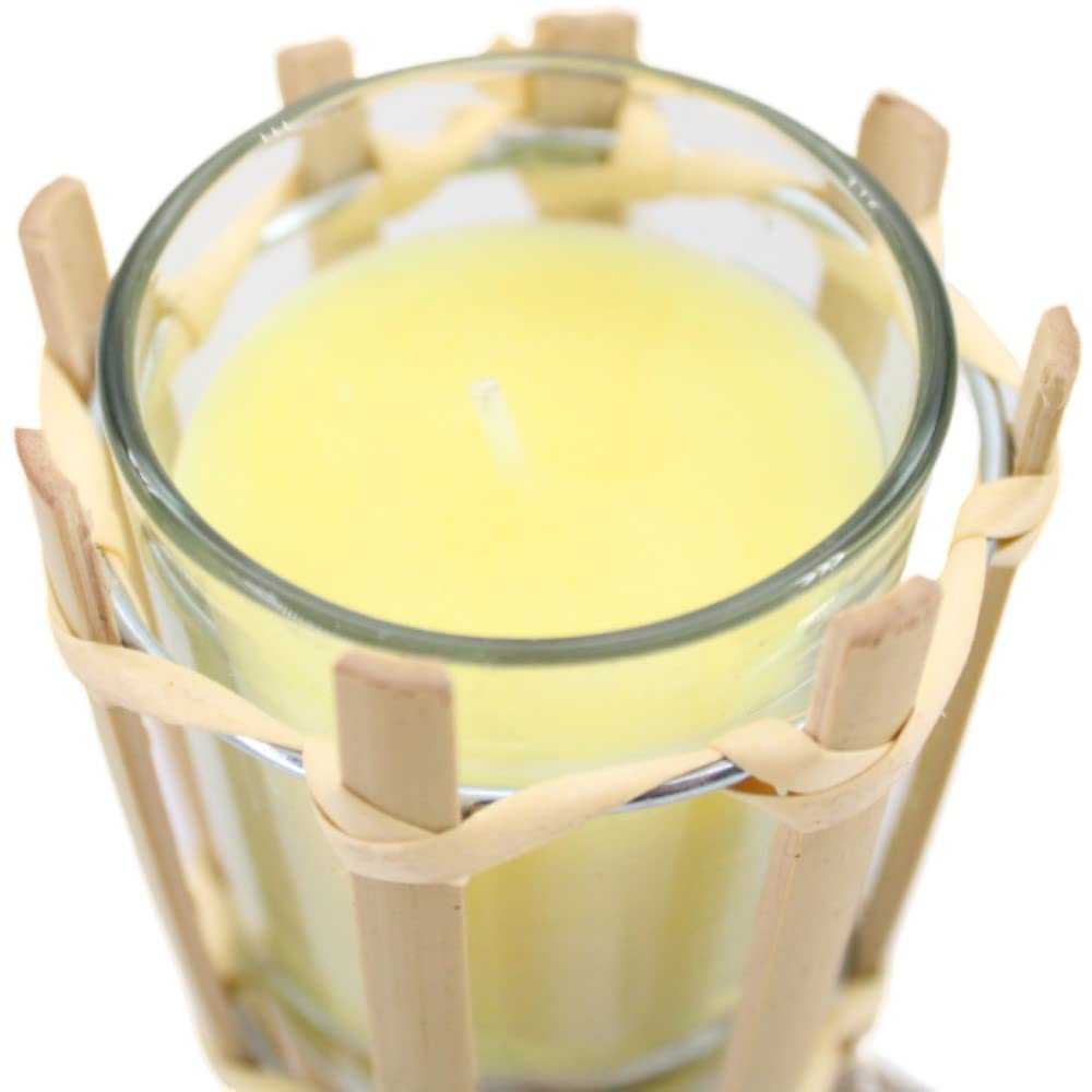 PLUS HOME Pack 3 Unidad antorcha de Jardin 78CM con Vela citronela 100 grs,3% citronelas.