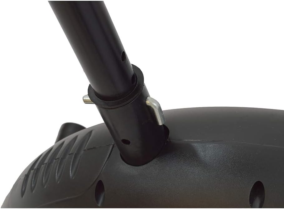 Imagem superior com fundo branco liso.