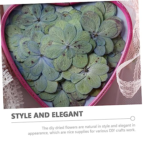 Flores secas prensadas LIFKOME 30 piezas para manualidades miniatura 2