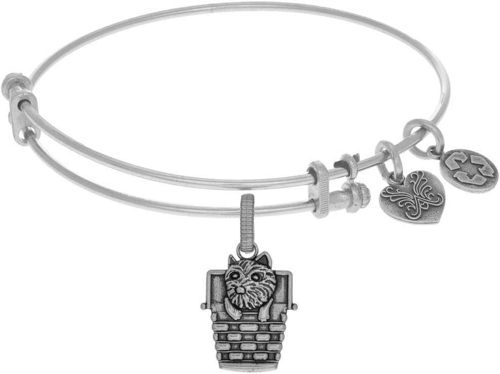 Toto in a Basket Expandable Bangle Brass