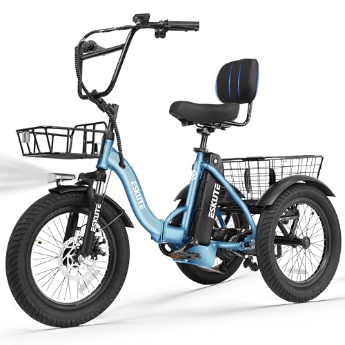 ESKUTE E Trike Electric Bike, Peak 1200W Brushless Motor