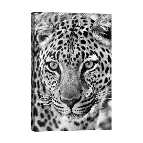 Tableau animaux DCA007-2 phosphorescent pour rassurer la nuit grand format
