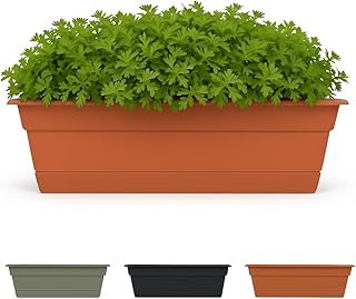 Bloem Dura Cotta Window Box Planter: 24