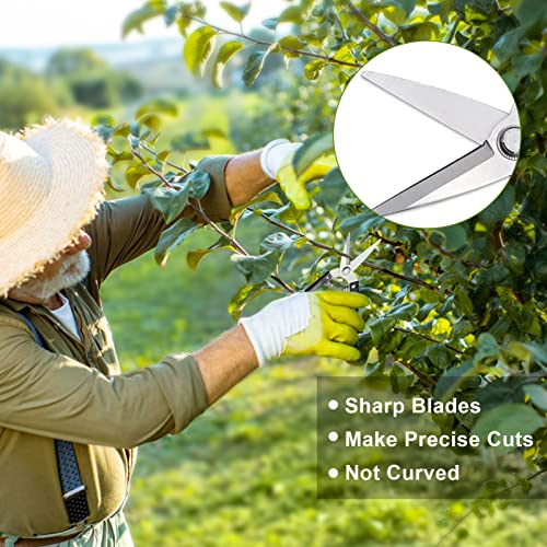 Bonsai Tools Kit, Bonsai Tree Pruning Tools Kit 15 Pcs Bonsai Starter Trimming Care Kit For Beginners Includes Pruning Shears Bonsai Scissors, Plant Repotting Mat #TOP2