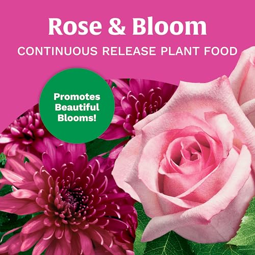 Scotts Evergreen, Flowering Tree & Shrub Continuous Release Plant Food | Feeds up to 2 Months, Contains Slow-Release Nitrogen, 3 lbs. - image 2
