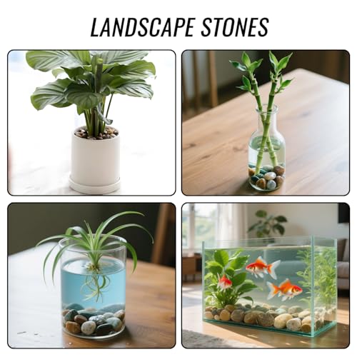 Image of RITOLLO River Rocks Pebbles for Indoor Plants 3 /8-1 Inch Natural Aquarium Gravel Decorative Fish Tank Rocks Garden Landscaping Decor