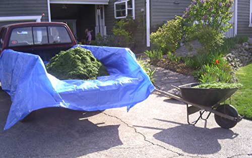 Dry Top 816204 Multi-Purpose Economy Poly Tarp thumb #1