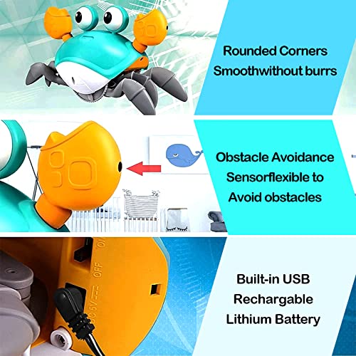 NEOVSUNY Giocattolo di Granchio Che