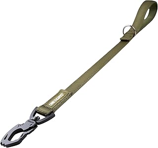 OneTigris Bolt Kurzführer Hund 52cm, Hundeleine Kurz mit Tiger Zahn Metallclip und Weiche Polsterung, Reflektierend Nylon Hundeleine Geeignet für Mittlere Große Hunde Grün