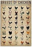 Jigsaw Puzzles 300 Pieces Chicken All Breeds of Chicken World Education Science Classroom Chart Educational Puzzle Family Game Gift for Adults and Kids Perfect for Family or Dat