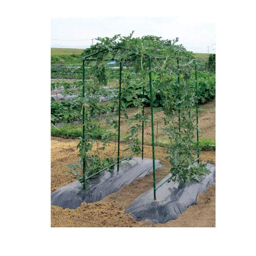 Amazon | 第一ビニール 菜園つる棚セット TDS1.8 80cm×180cm | 園芸用