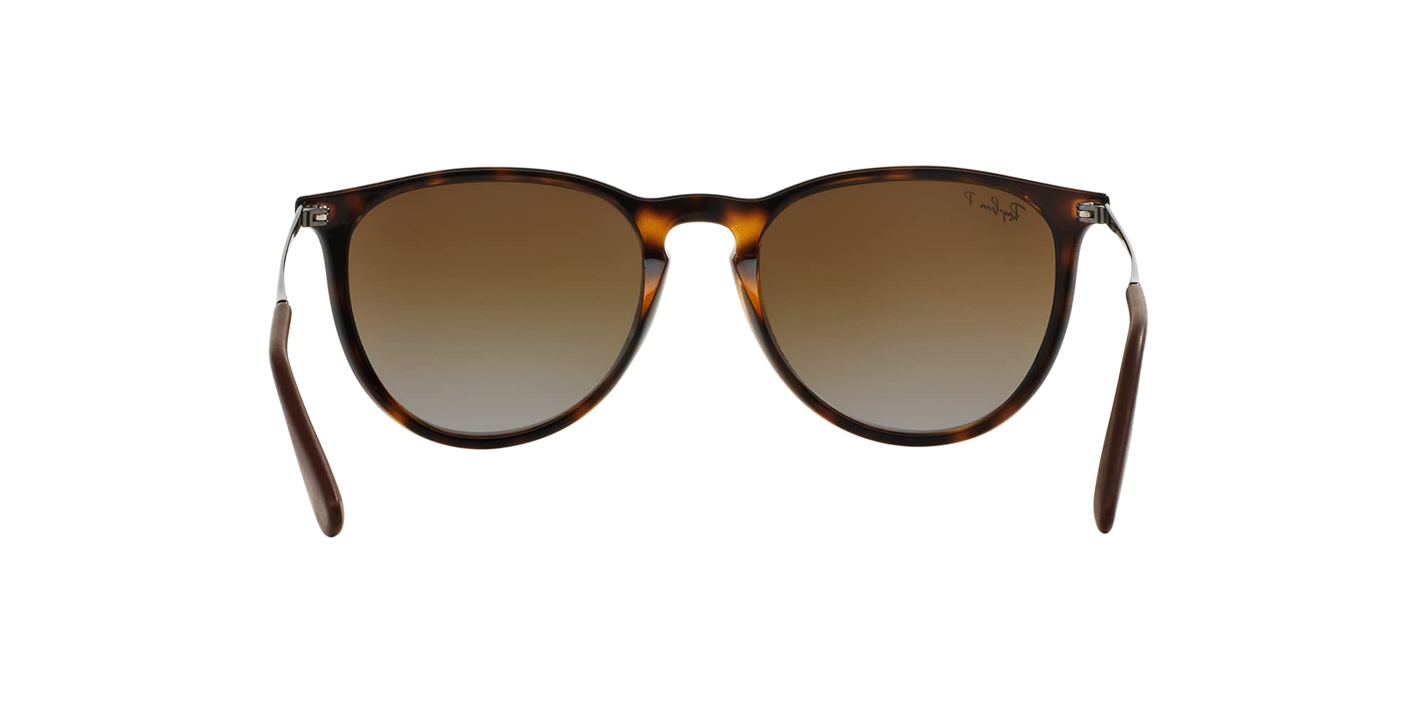 Ray-Ban RB4171 Erika Sunglasses + Vision Group Accessories Bundle