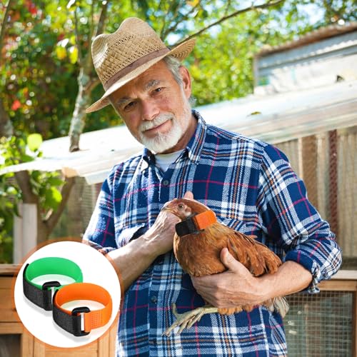 Xuniea 4 Verstellbares Hahnenhalsband Krähensicheres Hahnenhalsband mit Hakenverschluss Nylon-Halsband Verhindert DASS Hühner Schreien und Die Nachbarn Stören für Haushühner(Orange und Grün)