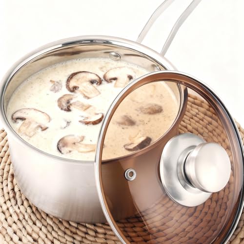 Cazo con mango de 18 cm, acero inoxidable con tapa de cristal y mango largo resistente al calor, olla de acero inoxidable, olla de inducción para todo tipo de fuegos