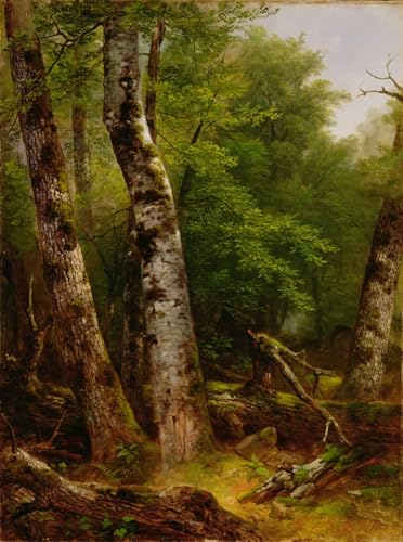 Pintura mural en lienzo de los abedules de Asher Brown Durand, decoración artística de 60x90cm 1