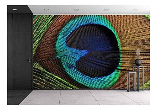 Wall26 - Beautiful Peacock Feather, Close Up, Micro Shot - Removable Wall Mural | Self-Adhesive Large Wallpaper - 100X144 Inches #TOP22